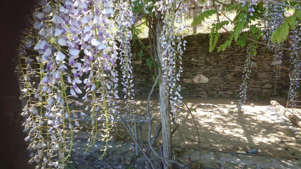 Le Mercou En Cevennes Saint-Martin-de-Boubaux Экстерьер фото